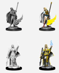 Female Human Oracle (Magic User) - 90044 - Pathfinder Battles Deep Cuts Unpainted Minis